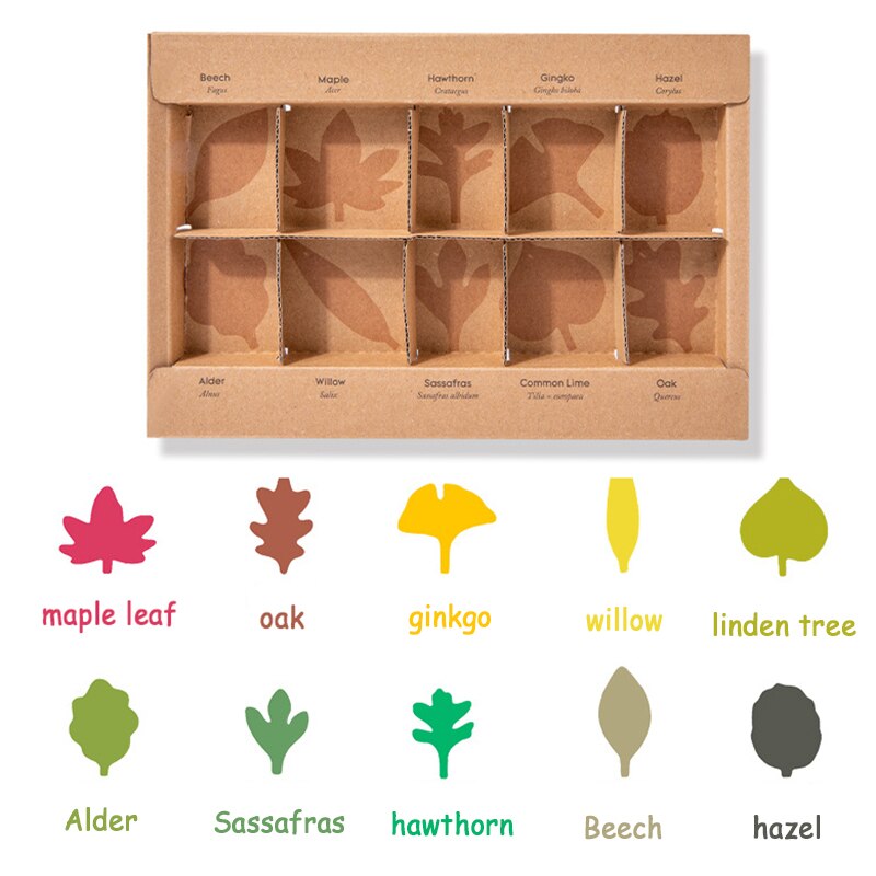 Toddler/ Pre-School Montessori Biological Science Educational Wooden Set