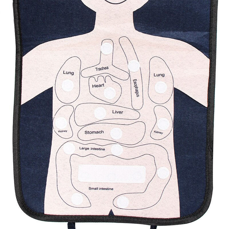 Human Anatomy Medical Busy Board for kids