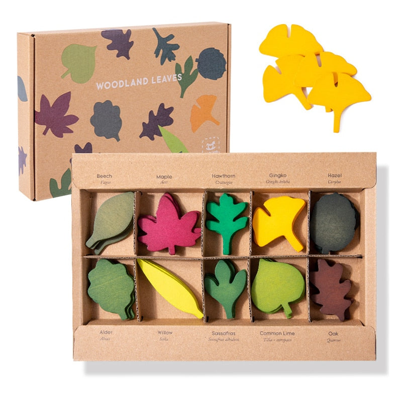 Toddler/ Pre-School Montessori Biological Science Educational Wooden Set