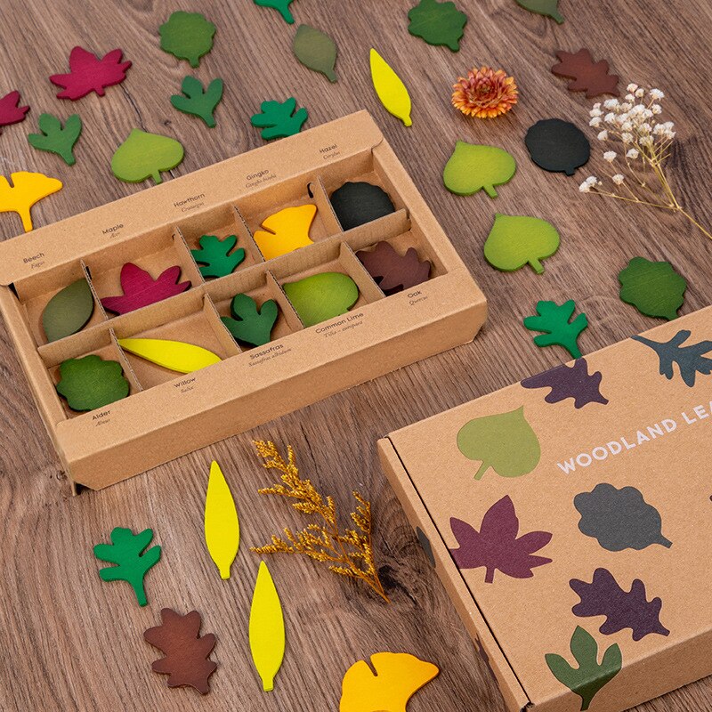 Toddler/ Pre-School Montessori Biological Science Educational Wooden Set