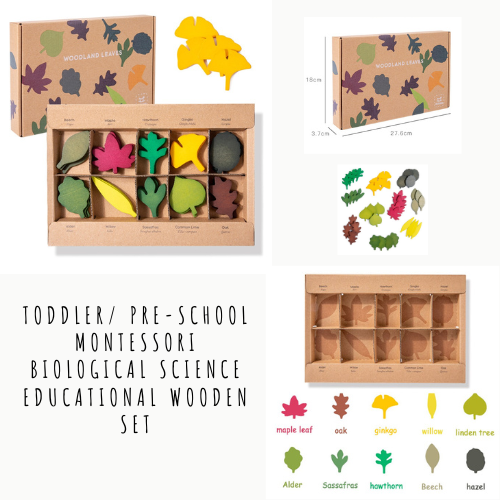 Toddler/ Pre-School Montessori Biological Science Educational Wooden Set